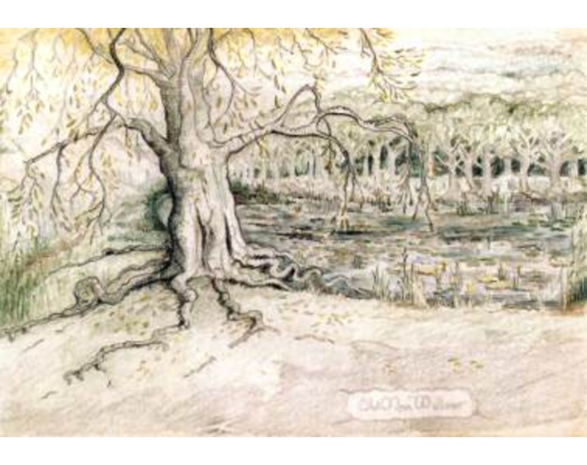 The Fantastic Symphony of&nbsp;Middle-earth